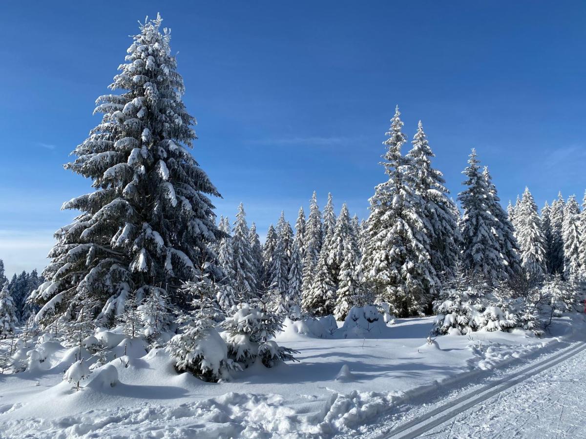 Vila Jáchymov Dış mekan fotoğraf